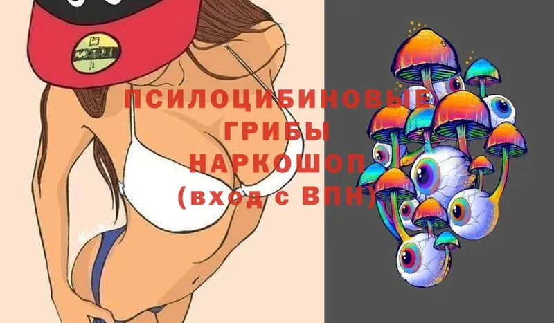 МЕГА вход  Кемь  Псилоцибиновые грибы Psilocybine cubensis 